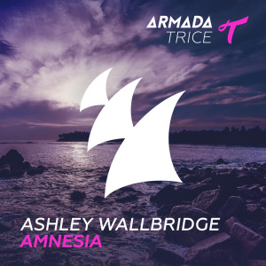收听Ashley Wallbridge的Amnesia (Extended Mix)歌词歌曲