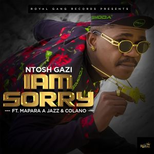 Listen to Iam Sorry (feat. Mapara A Jazz and Colano) song with lyrics from Ntosh Gazi