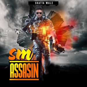 收聽Shatta Wale的Sm Assasin歌詞歌曲