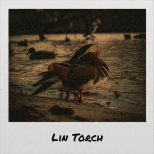Listen to Tin song with lyrics from Dany Yonier