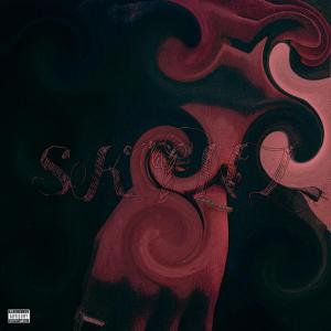 ดาวน์โหลดและฟังเพลง Skynz (Explicit) พร้อมเนื้อเพลงจาก Chxncee