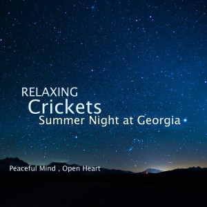 Dengarkan Forest Night Sounds , Sleep Ambience lagu dari Acerting Art dengan lirik