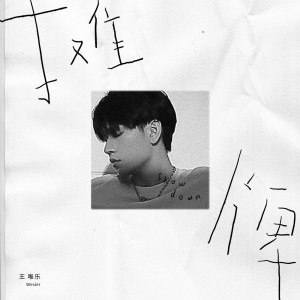 Album 摊牌 from Wesler Wang