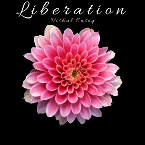 Vishal Casey的专辑Liberation