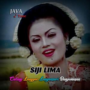 Album Siji Lima (LANGENSARI ©dpstudioprod) from JAVA Tone