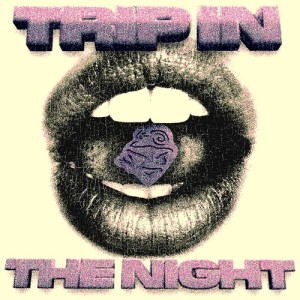 Listen to TRIP IN THE NIGHT (Explicit) song with lyrics from Mure