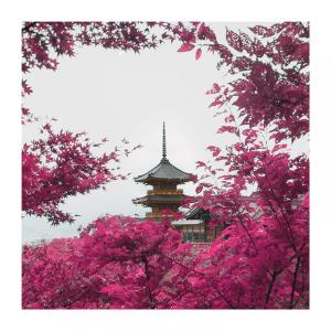 tokyo feels