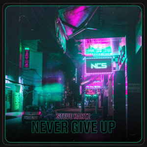 ดาวน์โหลดและฟังเพลง Never Give Up พร้อมเนื้อเพลงจาก Steve Hartz