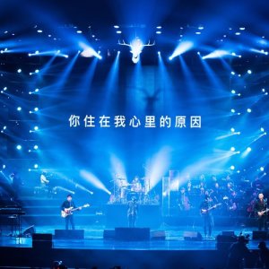 Dengarkan lagu The reason you live in my heart nyanyian 鹿先森乐队 dengan lirik