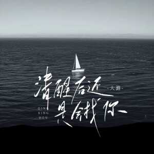 Album 清醒后还是会找你(女版) from 大潞