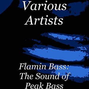 Album Flamin Bass: The Sound of Peak Bass from Various
