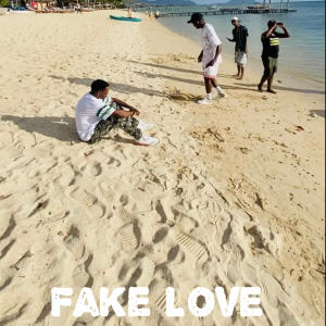 收聽Trane Sushi的Fake Love歌詞歌曲