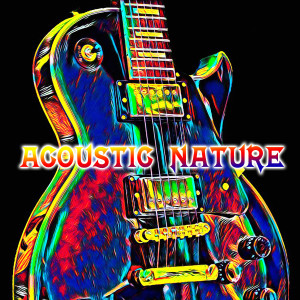 Acoustic Guitar Collective的專輯Acoustic Nature