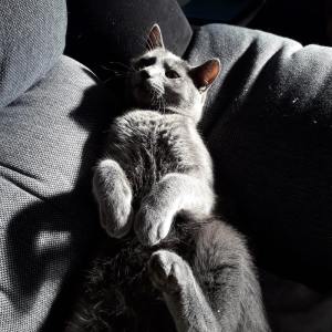 Dengarkan lagu Music for Spirits nyanyian Deep Sleep dengan lirik