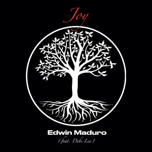 Listen to Joy (Airstream House Mix) song with lyrics from Edwin Maduro