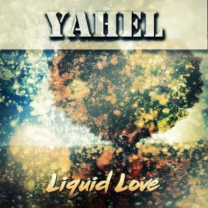 Listen to Liquid Love (Immoral Monkeys Remix) song with lyrics from Yahel