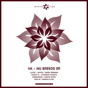 Various Artists的專輯Nu Breeds 09