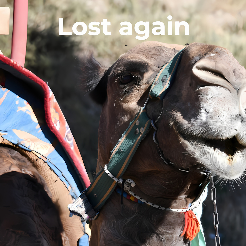 Lost Again