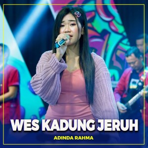 Listen to Wes Kadung Jeruh song with lyrics from Adinda Rahma
