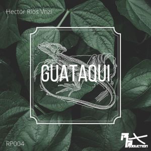 ดาวน์โหลดและฟังเพลง Guataqui พร้อมเนื้อเพลงจาก Hector Rios Vnzl