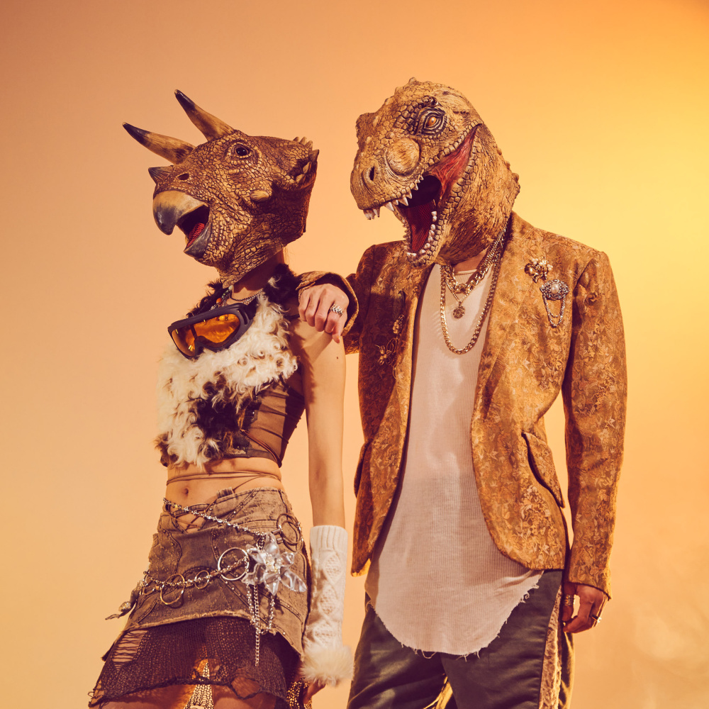 恐龙的皮 The Dinosaur’s Skin