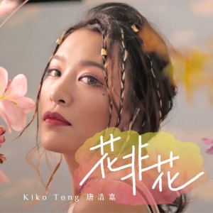 ดาวน์โหลดและฟังเพลง 花非花 พร้อมเนื้อเพลงจาก 唐浩嘉