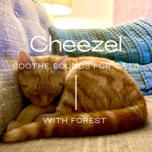 Listen to Cheezel song with lyrics from Forest
