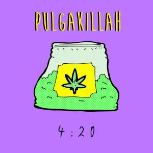 Listen to 4:20 song with lyrics from PulgaKillah