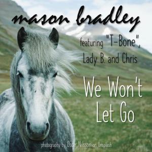 ดาวน์โหลดและฟังเพลง We Won't Let Go (feat. T-Bone Barone, Lady B. & Chris) พร้อมเนื้อเพลงจาก Mason Bradley