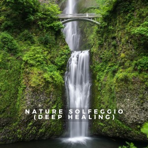 Masala Roo的專輯Nature Solfeggio (Deep Healing)