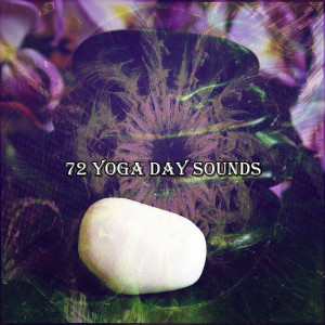 72 Yoga Day Sounds dari White Noise Research