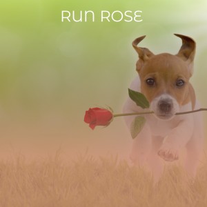 收聽Millie Small的I Want You to Know歌詞歌曲