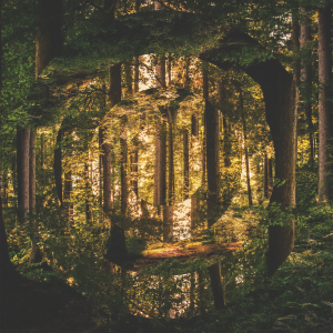 ดาวน์โหลดและฟังเพลง Asshole (Demo|Explicit) พร้อมเนื้อเพลงจาก Ruston Kelly