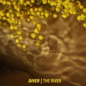 收听Diver的The River歌词歌曲