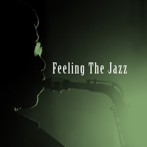 Album Feeling The Jazz from Smooth Jazz Sax Instrumentals