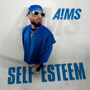 Album SELF ESTEEM from A!MS