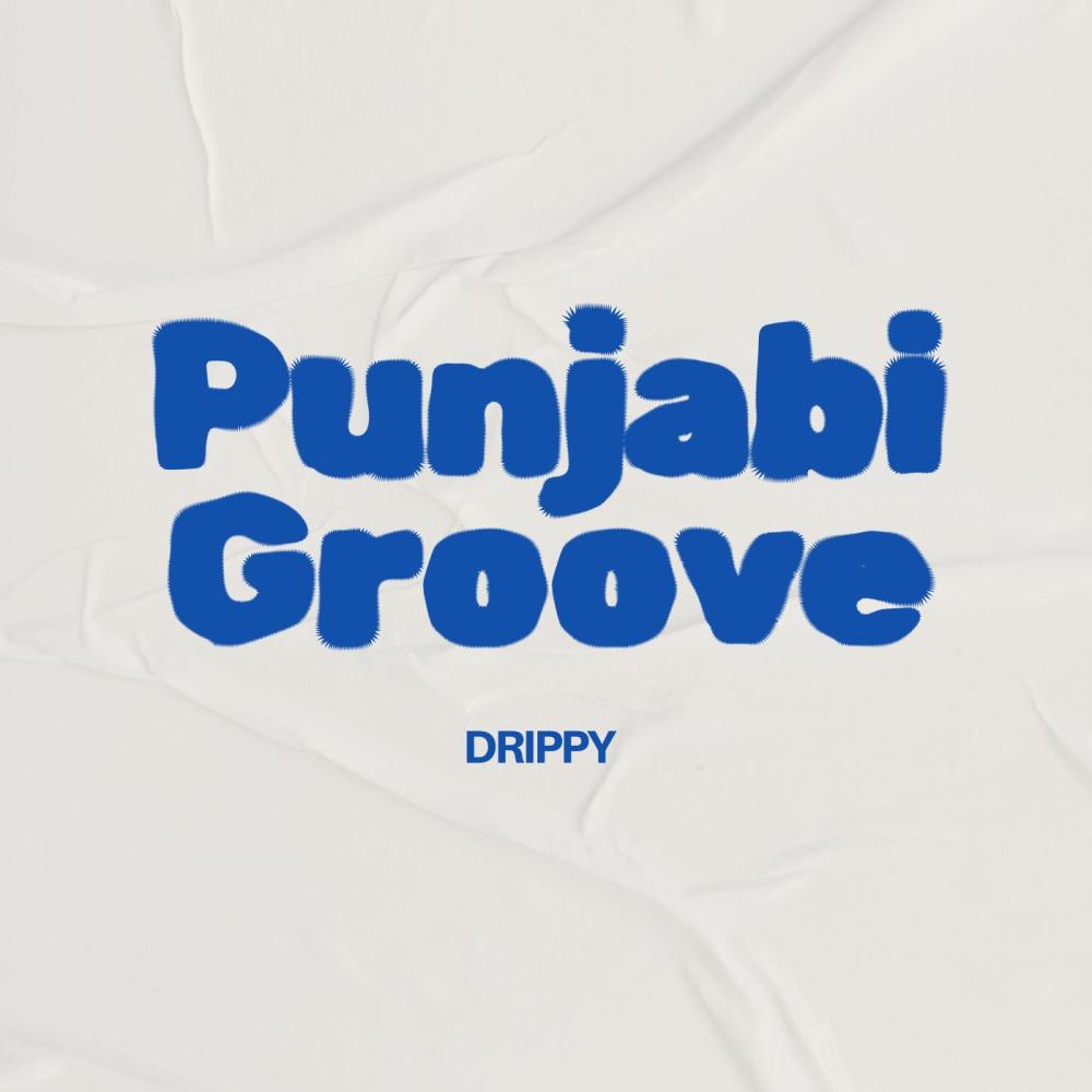 Punjabi Groove