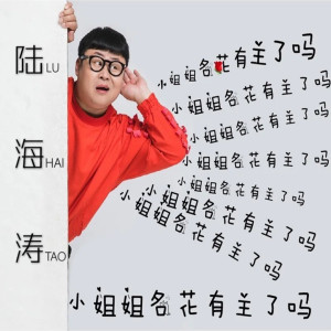 收聽陸海濤的小姐姐名花有主了嗎歌詞歌曲
