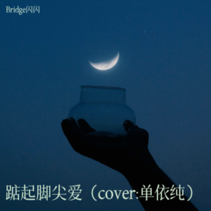 Album 踮起脚尖爱（cover:单依纯） oleh Bridge闪闪