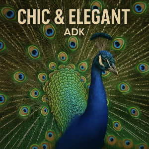 Listen to Real World song with lyrics from ADK