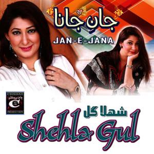 ดาวน์โหลดและฟังเพลง Sorry Sorry พร้อมเนื้อเพลงจาก Shehla Gul