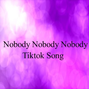 Album Nobody Nobody Nobody Tiktok Song from lo Mejor