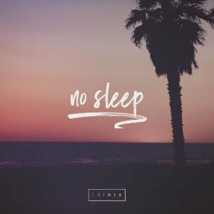 收聽Trinix的No Sleep (Original Mix)歌詞歌曲