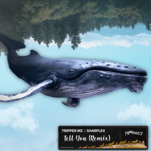 ดาวน์โหลดและฟังเพลง Tell You (Tripper Mz & SharpleX Remix) พร้อมเนื้อเพลงจาก YuranM