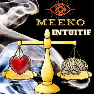 Dengarkan Intuitif lagu dari MEEKO dengan lirik