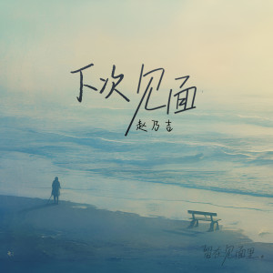 Album 下次见面 from 赵乃吉