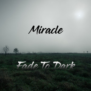 Listen to Miracle song with lyrics from Fade To Dark