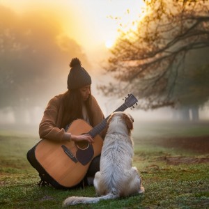 收聽Dog Music Hour的The Quiet Rest歌詞歌曲