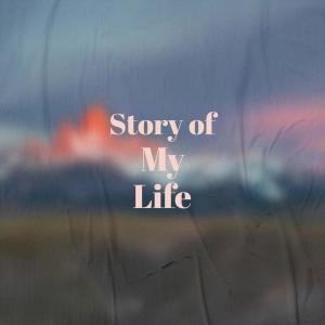 อัลบัม Story of My Life ศิลปิน Various Artist