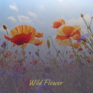Album Wild Flower oleh Various
